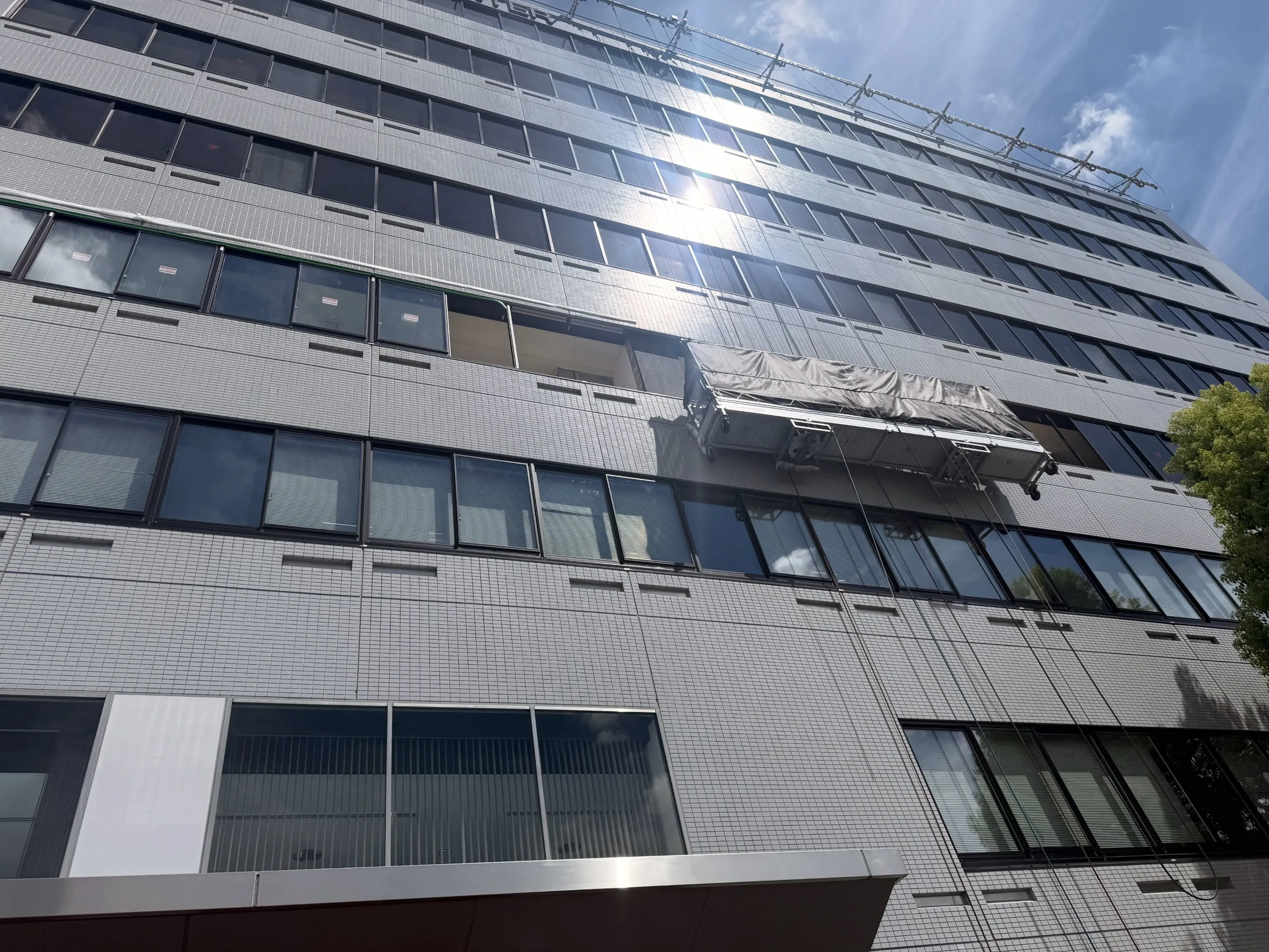 からの毎日ゴンドラ☀️
